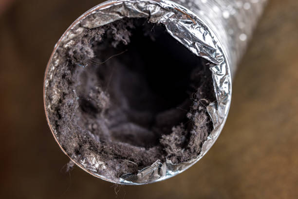 Best Residential Air Duct Cleaning  in Bradfordville, FL